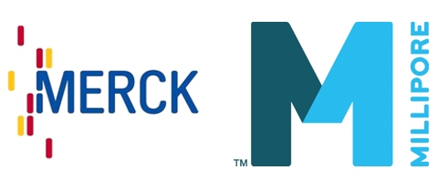 Our Partner